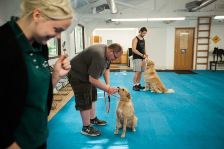 Setting Dog Training Goals for 2019 Cascade Kennels