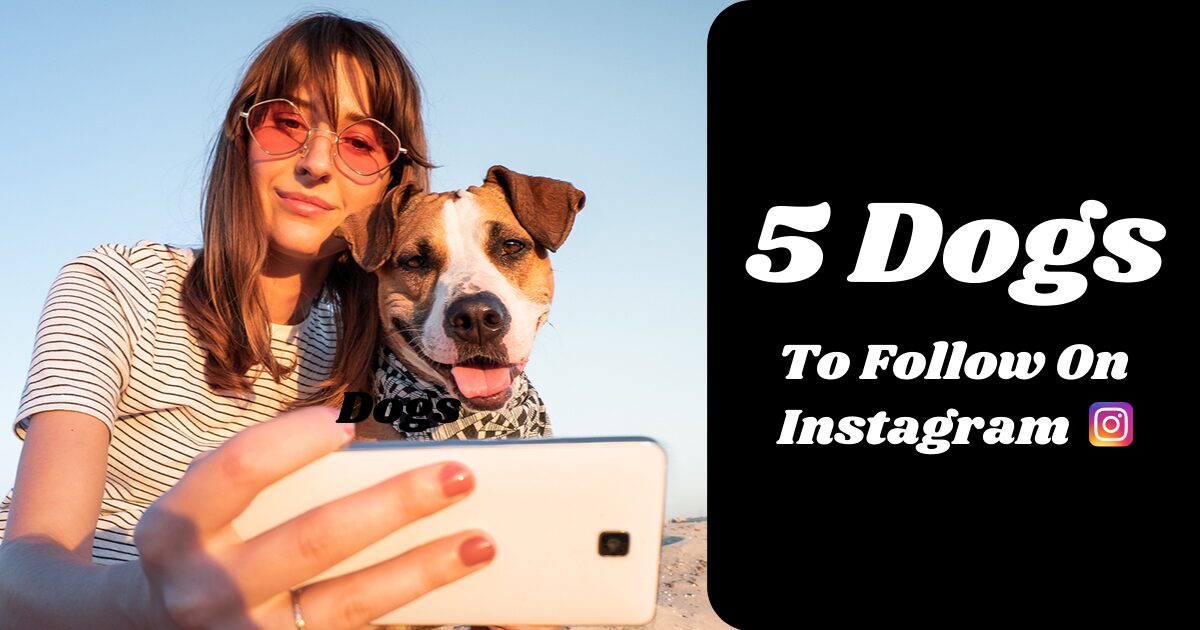 Five Dogs to Follow on Instagram 2021