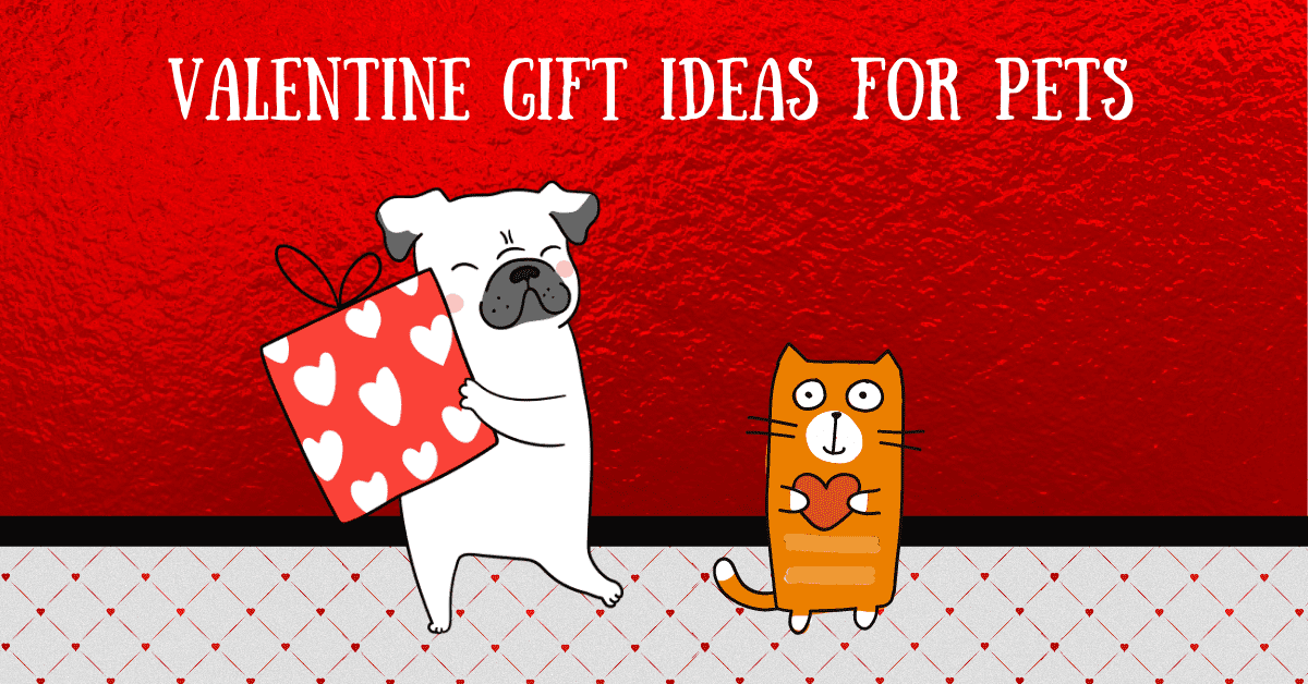 Valentine Gift Ideas for Pets - Cascade Kennels