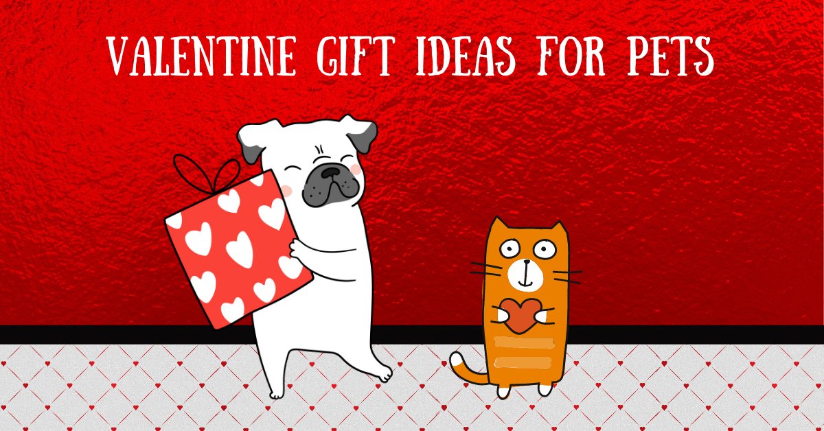Valentine Gifts for Pets | Cascade Kennels