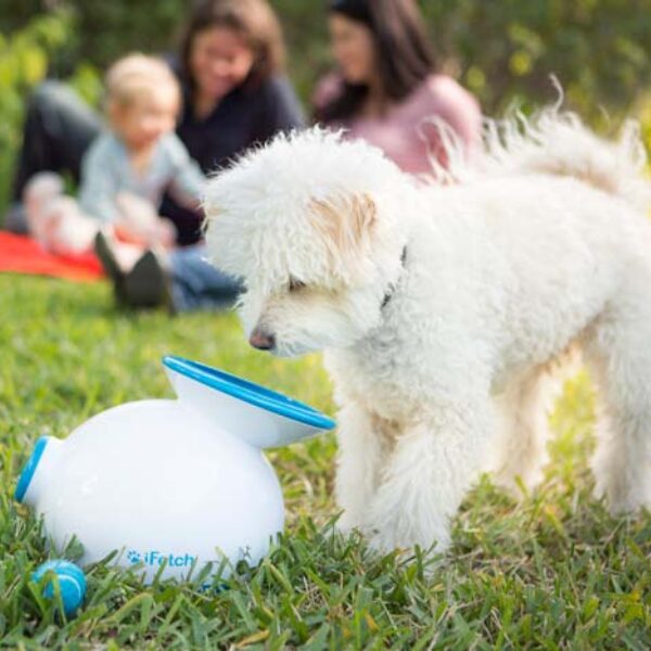 ifetch-new-tech-for-dogs
