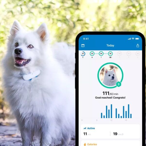 tractive-new-tech-dog-owners