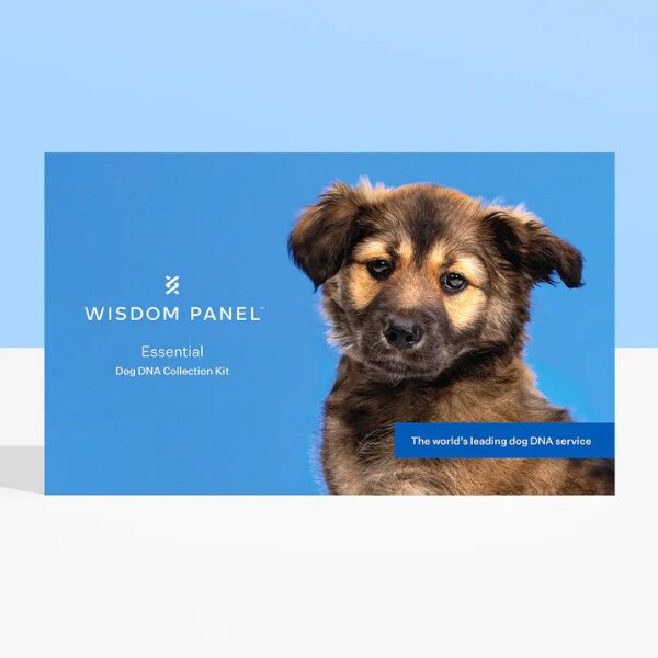 wisdom-panel-new-tech-for-dogs