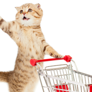 Have a cat? Here is our list of cat products that every cat owner needs in their home.