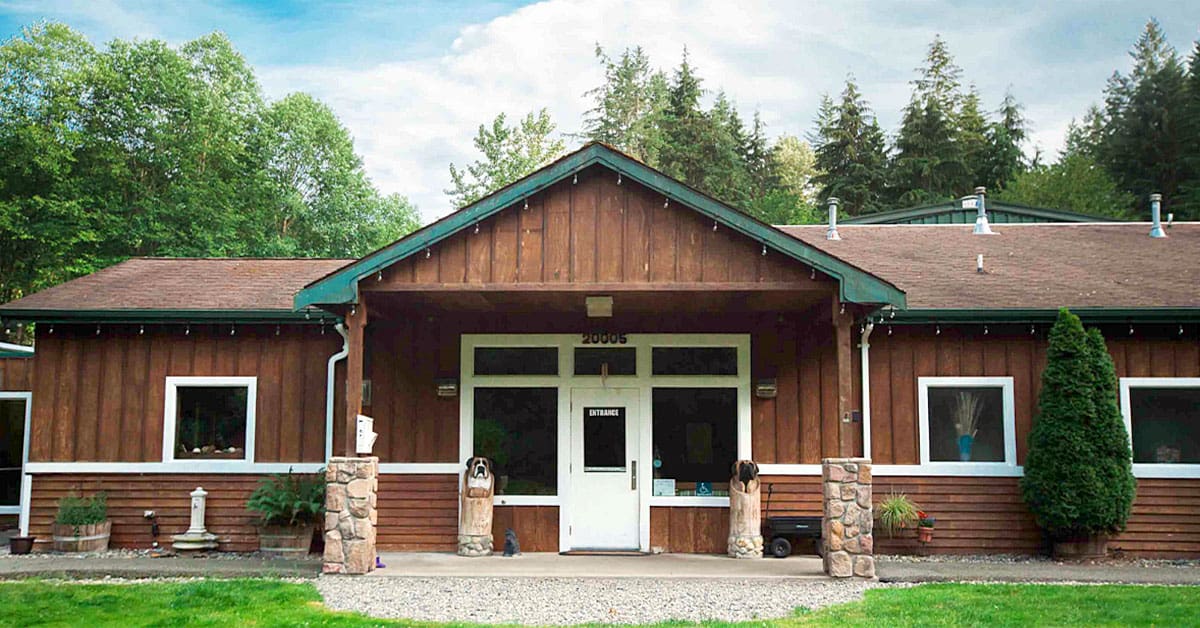 Cascade Kennels Offers More Than Boarding For Your Pets