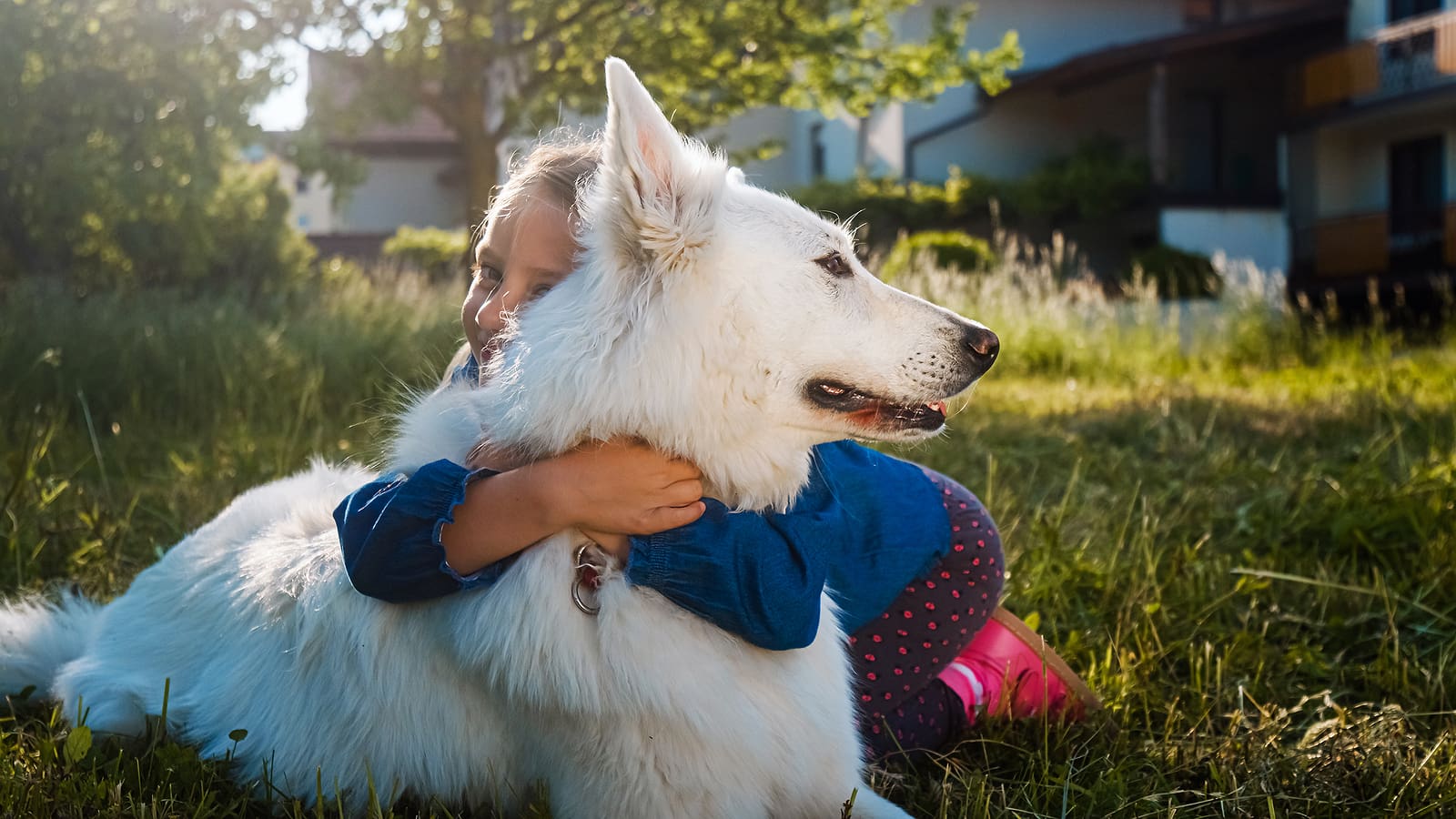 Help your dog adjust to boarding with Cascade Kennels