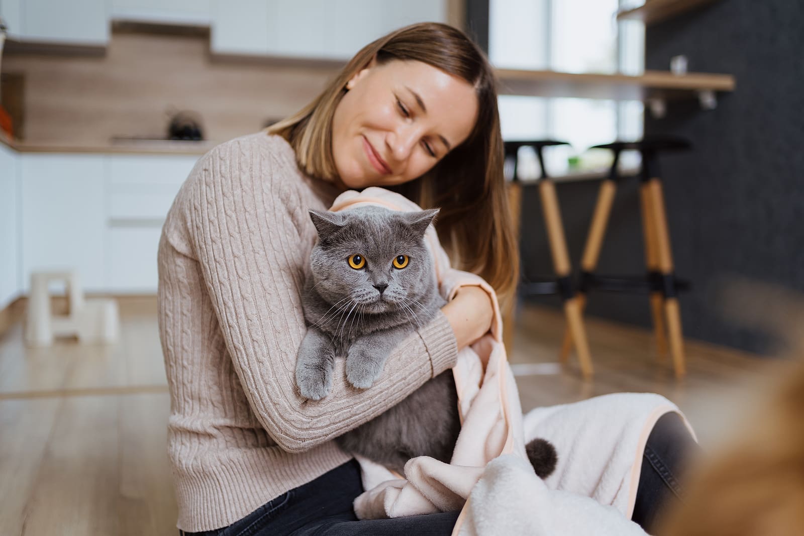 5 Cat Personality Types from Cascade Kennels